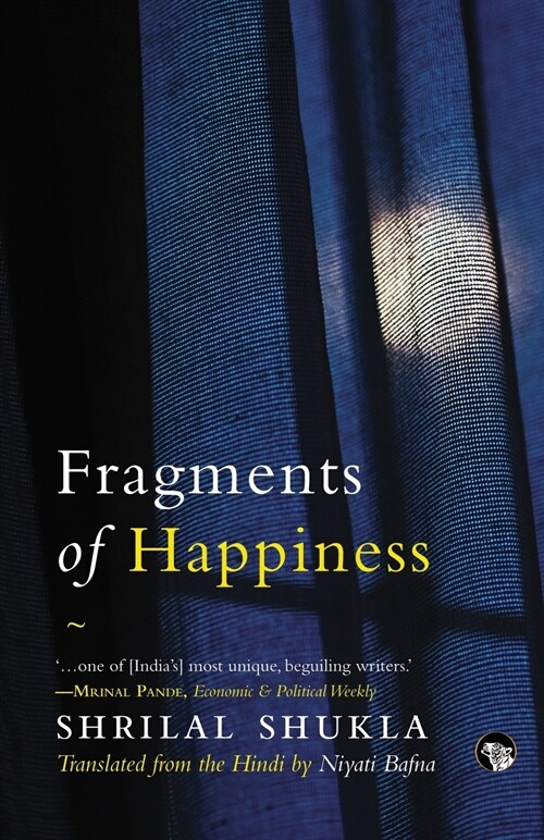 Fragments of Happiness (Paperback)