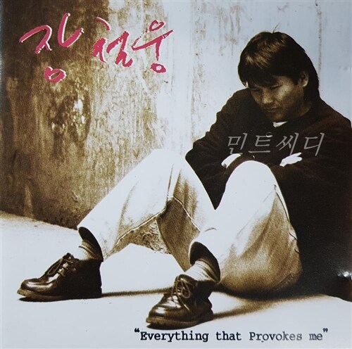 [중고] 장철웅 - Everything That Provokes Me