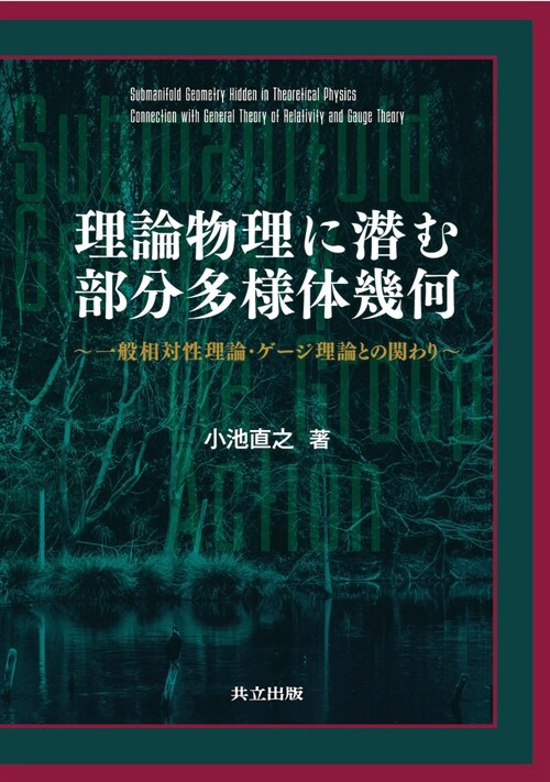 理論物理に潛む部分多樣體幾何