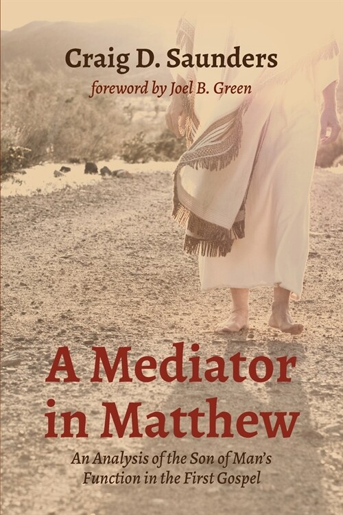 A Mediator in Matthew (Paperback)