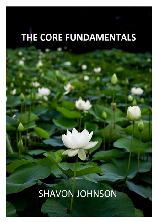 The Core Fundamentals (Paperback)