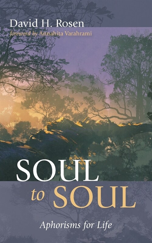 Soul to Soul (Paperback)