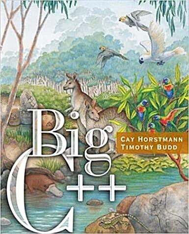 [중고] Big C++ (Paperback, 2nd Edition)