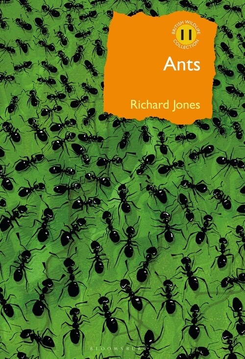 Ants : The ultimate social insects (Hardcover)