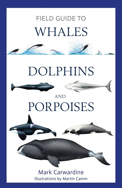 Field Guide to Whales, Dolphins and Porpoises (Paperback)