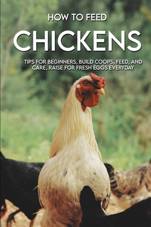 How To Feed Chickens: Tips For Beginners, Build Coops, Feed, And Care, Raise For Fresh Eggs Everyday: Chicken Care (Paperback)