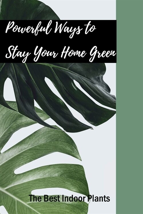 The Best Indoor Plants: Powerful Ways to Stay Your Home Green: The Ultimate Guide to Indoor Plants (Paperback)