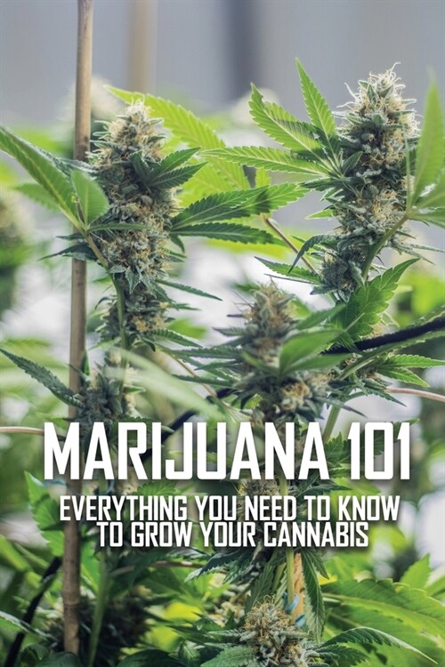 Marijuana 101: Everything You Need To Know To Grow Your Cannabis: Medical Marijuana Accessories (Paperback)