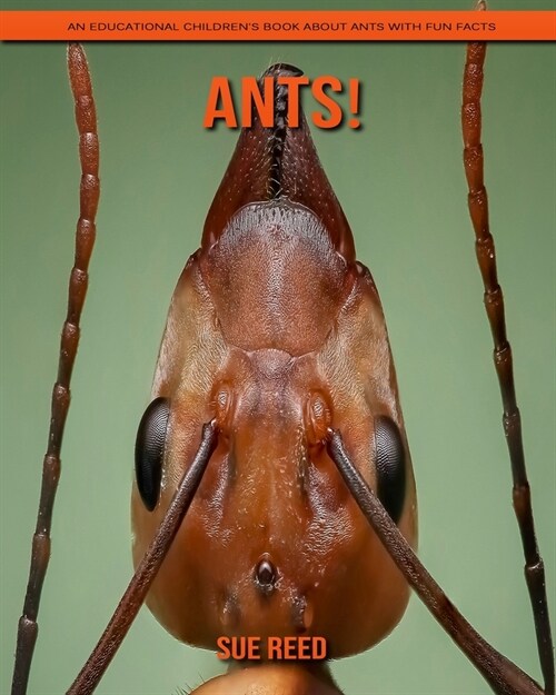 Ants! An Educational Childrens Book about Ants with Fun Facts (Paperback)