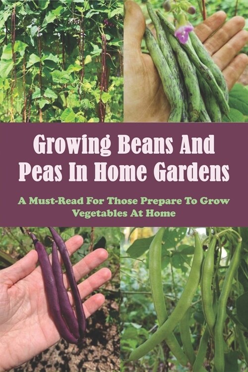 Growing Beans And Peas In Home Gardens: A Must-Read For Those Prepare To Grow Vegetables At Home: Beans Growing (Paperback)