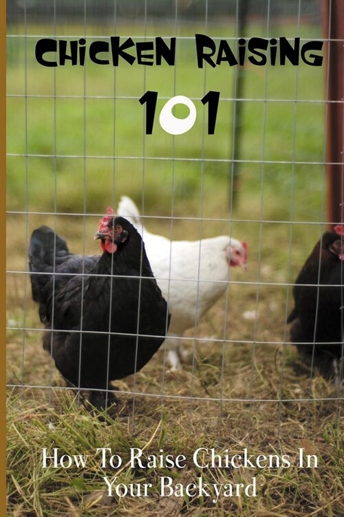 Chicken Raising 101: How To Raise Chickens In Your Backyard: How To Raise Chickens Book (Paperback)