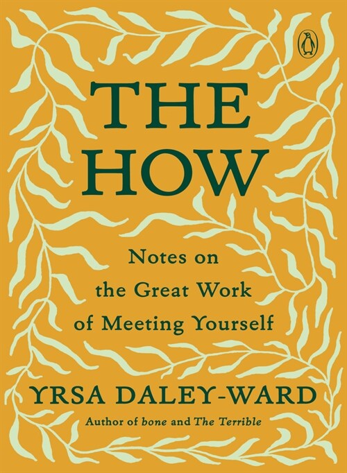 The How: Notes on the Great Work of Meeting Yourself (Paperback)