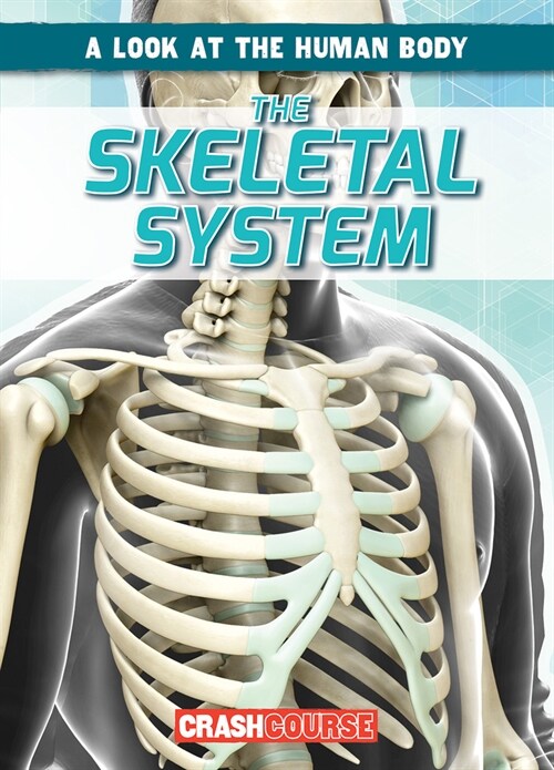 The Skeletal System (Paperback)