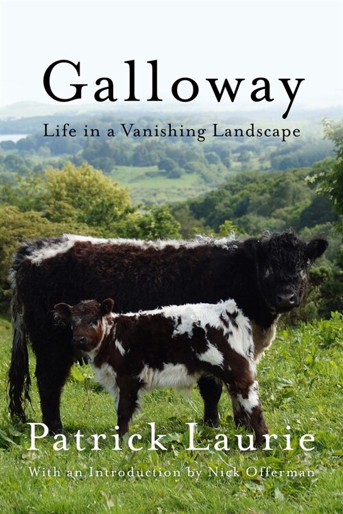 Galloway: Life in a Vanishing Landscape (Paperback)