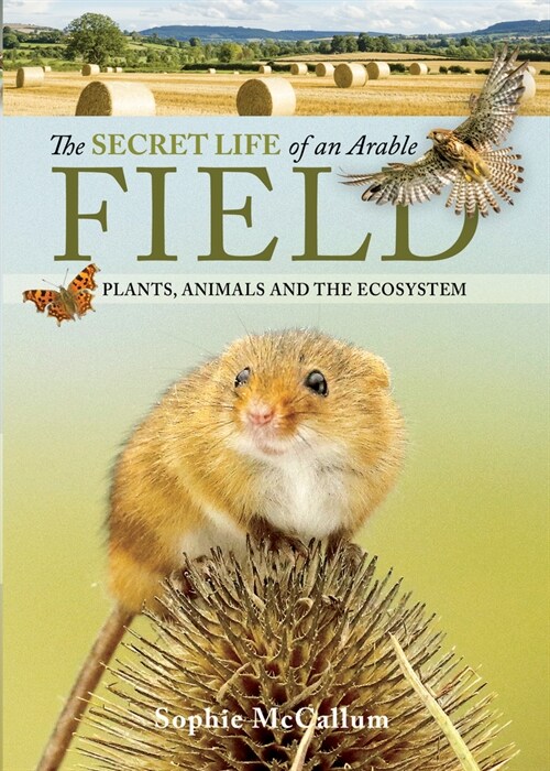 The Secret Life of an Arable Field : Plants, Animals and the Ecosystem (Hardcover)