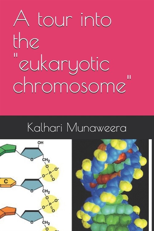 A tour into the eukaryotic chromosome (Paperback)