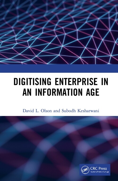 Digitising Enterprise in an Information Age (Hardcover)