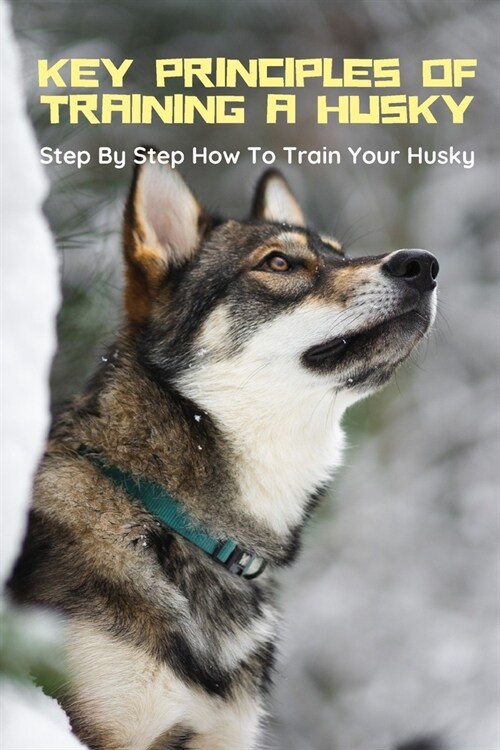 Key Principles of Training a Husky: Step By Step How To Train Your Husky: Husky Training (Paperback)