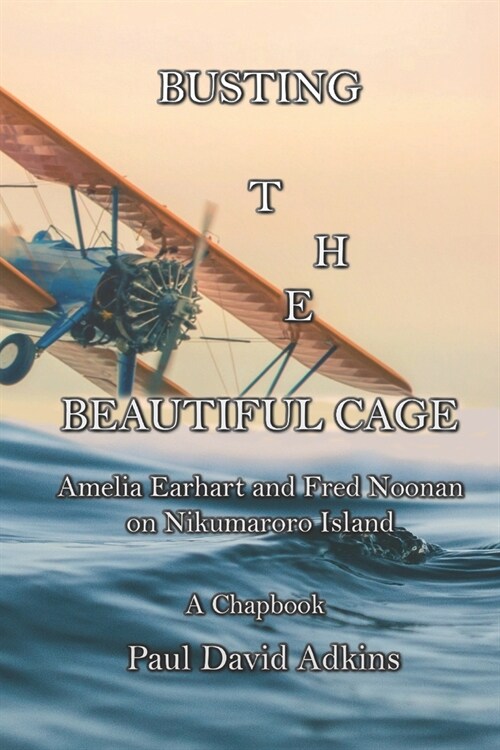 Busting the Beautiful Cage: Amelia Earhart and Fred Noonan on Nikumaroro Island (Paperback)