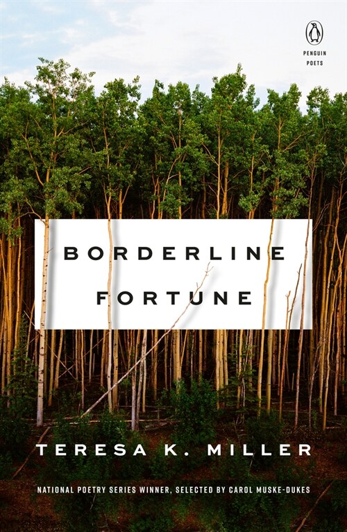 Borderline Fortune (Paperback)