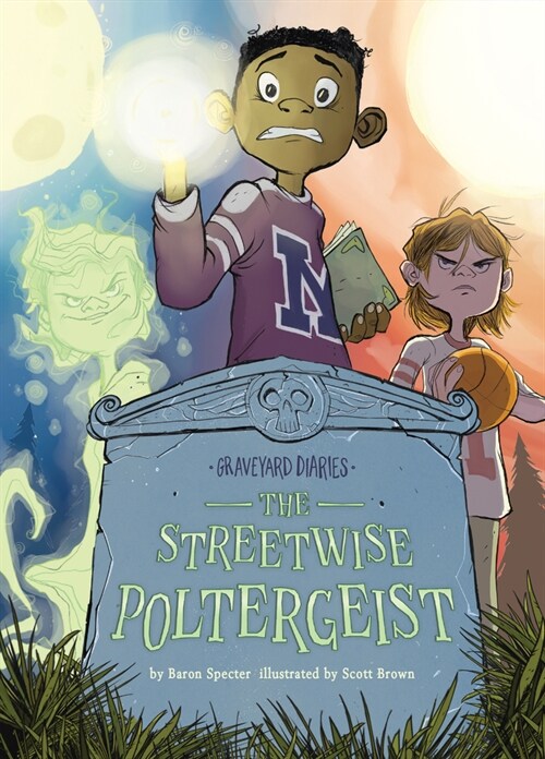 The Streetwise Poltergeist: Book 13 (Library Binding)