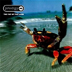 [수입] The Prodigy - The Fat Of The Land [15th Anniversary Edition][리마스터 2CD]