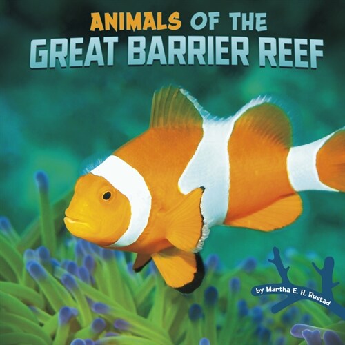 Animals of the Great Barrier Reef (Paperback)
