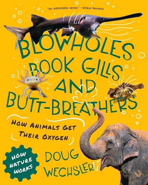 Blowholes, Book Gills, and Butt-Breathers: How Animals Get Their Oxygen (Hardcover)