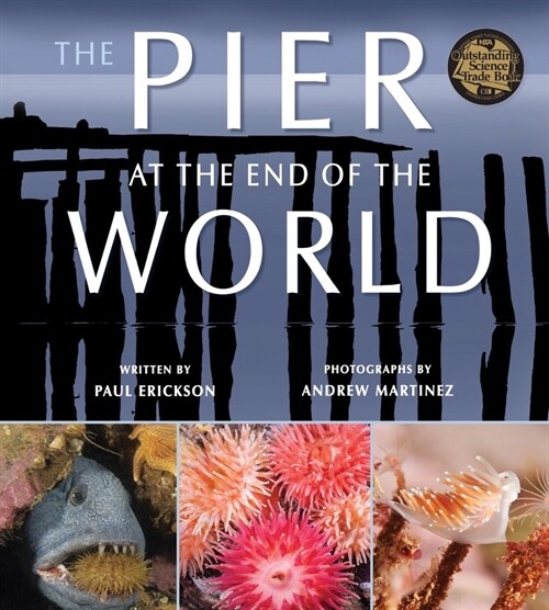 The Pier at the End of the World (Paperback)