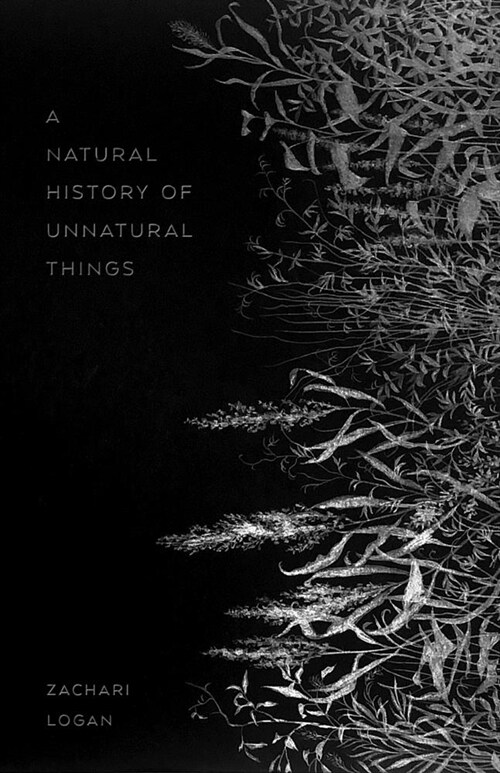 A Natural History of Unnatural Things (Paperback)