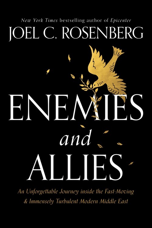 Enemies and Allies: An Unforgettable Journey Inside the Fast-Moving & Immensely Turbulent Modern Middle East (Hardcover)