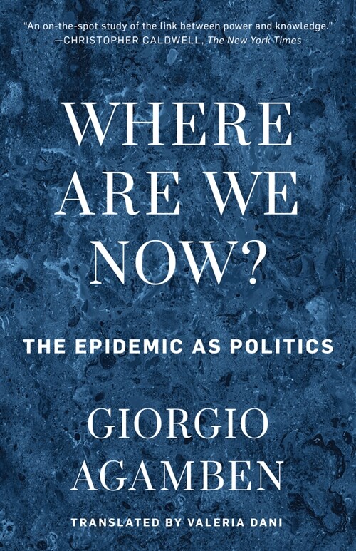Where Are We Now?: The Epidemic as Politics (Paperback)