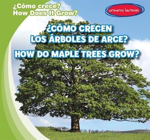 풠?o Crecen Los 햞boles de Arce? / How Do Maple Trees Grow? (Library Binding)