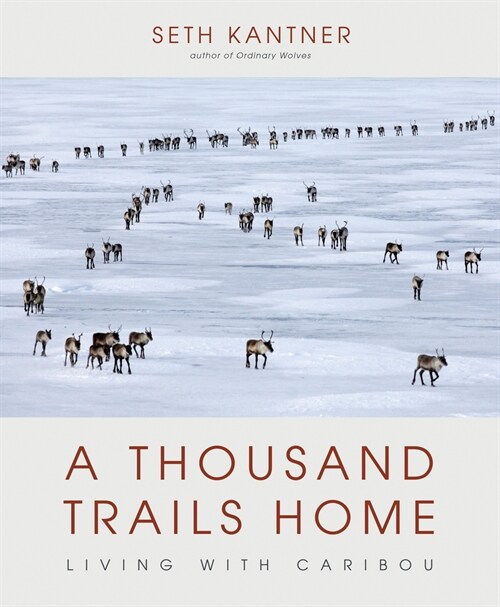 A Thousand Trails Home: Living with Caribou (Hardcover)