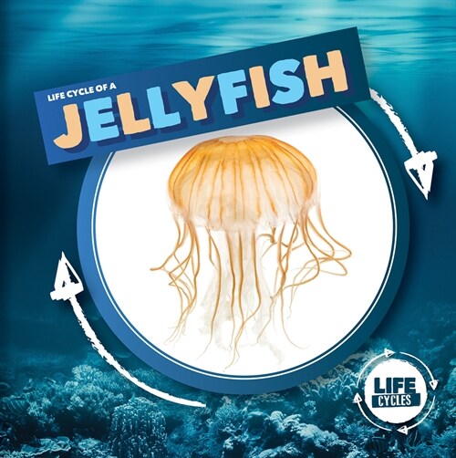 Life Cycle of a Jellyfish (Library Binding)