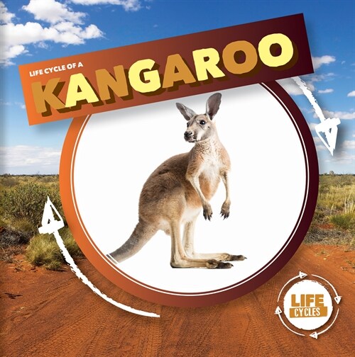 Life Cycle of a Kangaroo (Library Binding)