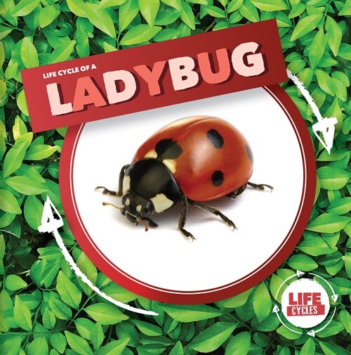 Life Cycle of a Ladybug (Library Binding)