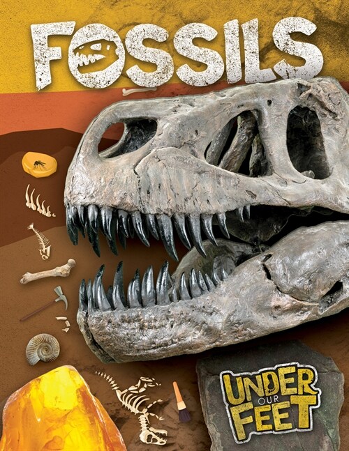 Fossils (Paperback)