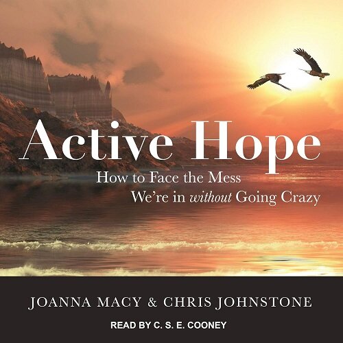 Active Hope: How to Face the Mess Were in Without Going Crazy (Audio CD)