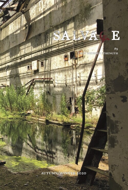 Salvage #9 (Paperback)