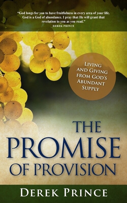 The Promise of Provision (Paperback)
