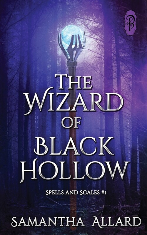 The Wizard of Black Hollow (Paperback)