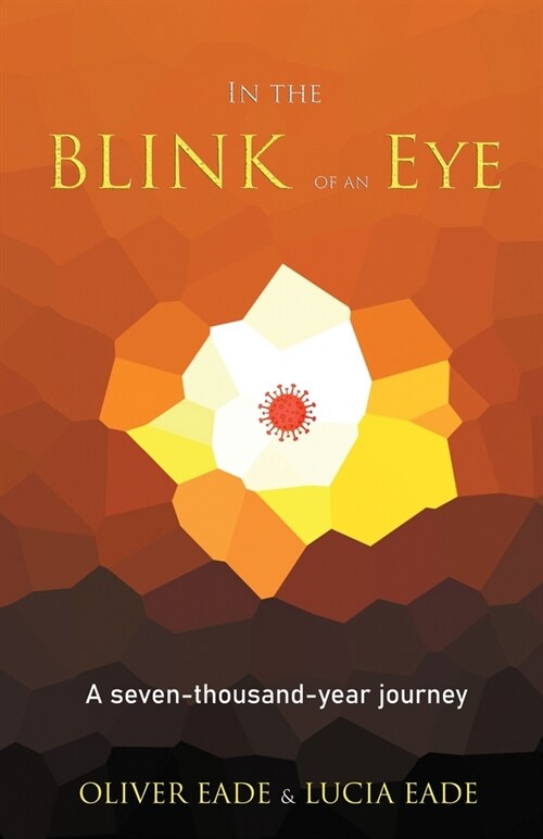 In The Blink Of An Eye (Paperback)