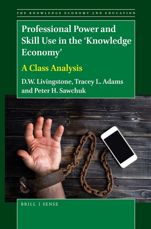 Professional Power and Skill Use in the knowledge Economy: A Class Analysis (Paperback)