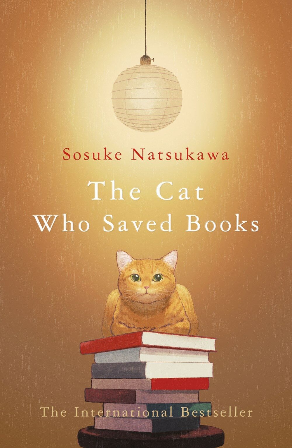 The Cat that Saved Books (Paperback)