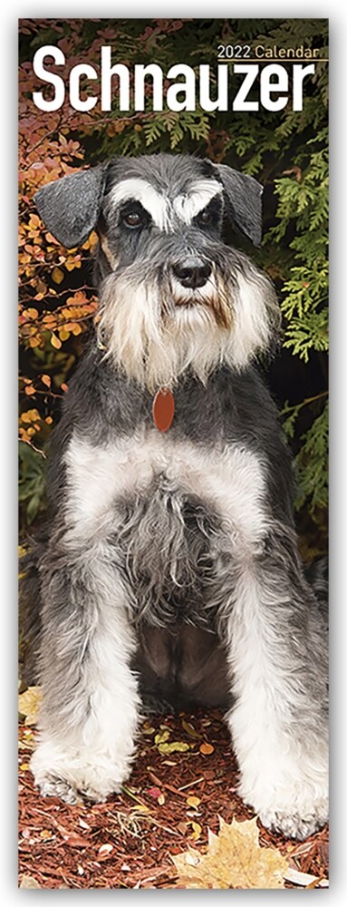 Schnauzer 2022 Slim Calendar (Calendar)