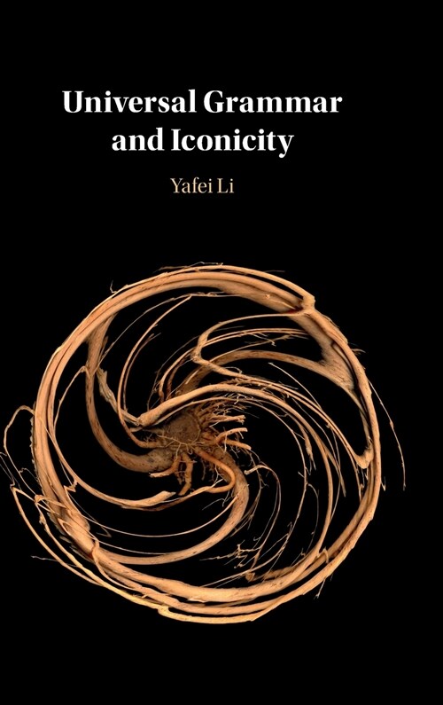 Universal Grammar and Iconicity (Hardcover)