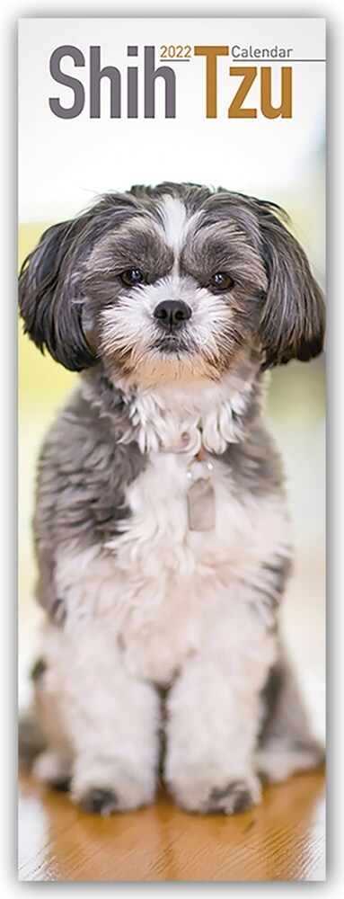 Shih Tzu 2022 Slim Calendar (Calendar)