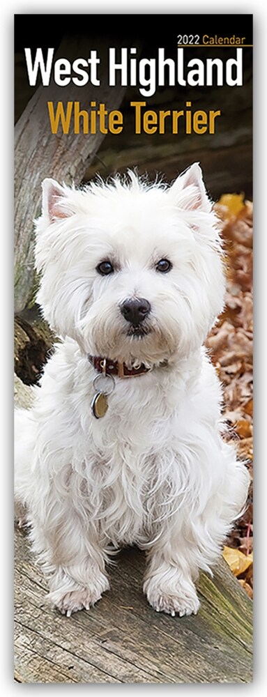 West Highland Terrier 2022 Slim Calendar (Calendar)