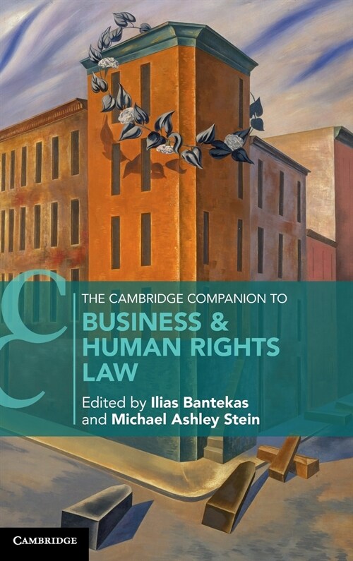 The Cambridge Companion to Business and Human Rights Law (Hardcover)